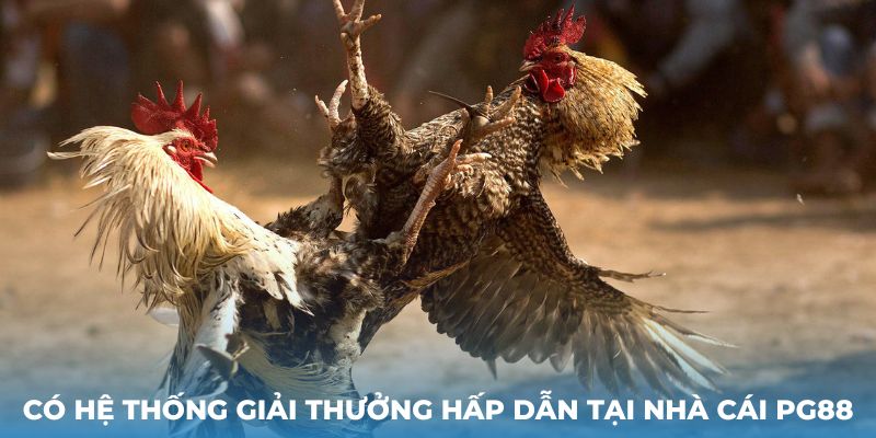 Có hệ thống giải thưởng hấp dẫn tại nhà cái PG88