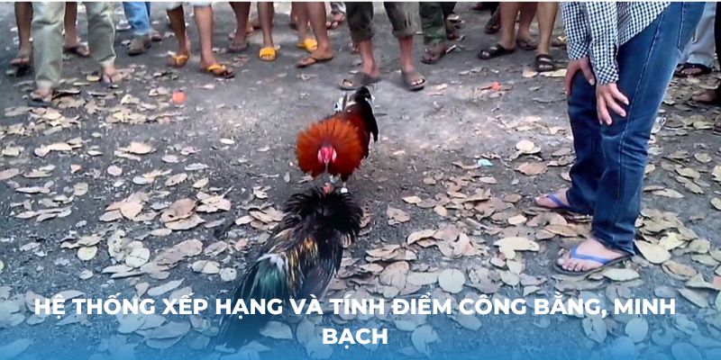 Hệ thống xếp hạng và tính điểm công bằng, minh bạch