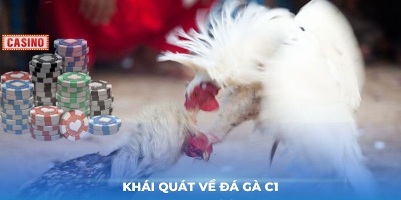 Khái quát về Đá gà c1